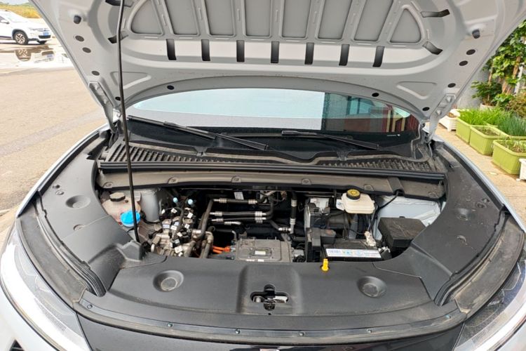 BYD YuanUP 2024 imagen de coche #20
