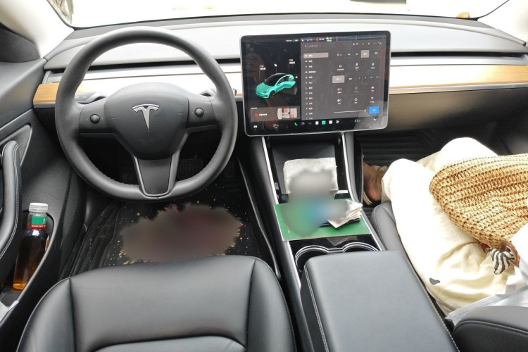 Tesla Model 3 2020 car image #12