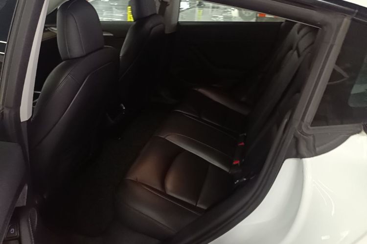 Tesla Model 3 2021 #17 Tesla Model 3 2021 car image #17
