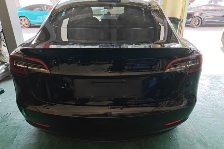 Tesla Model 3 2021 #6 Tesla Model 3 2021 car image #6