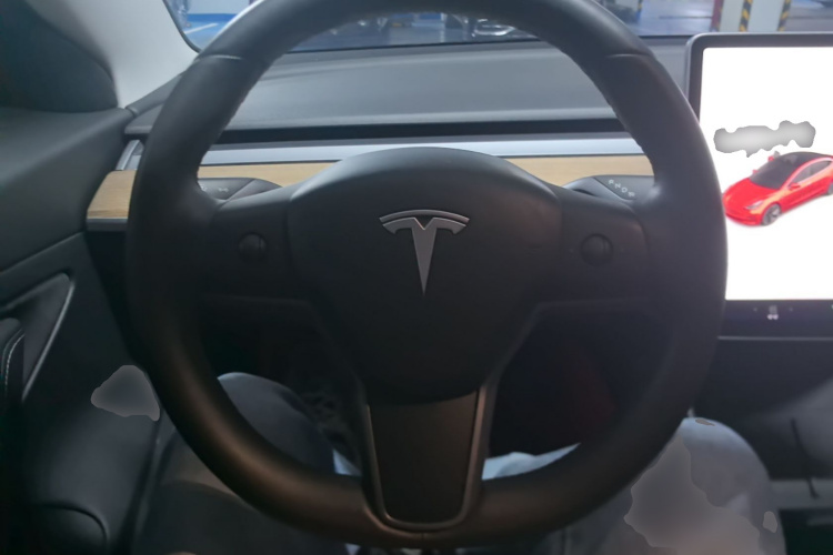 Tesla Model 3 2020 car image #11