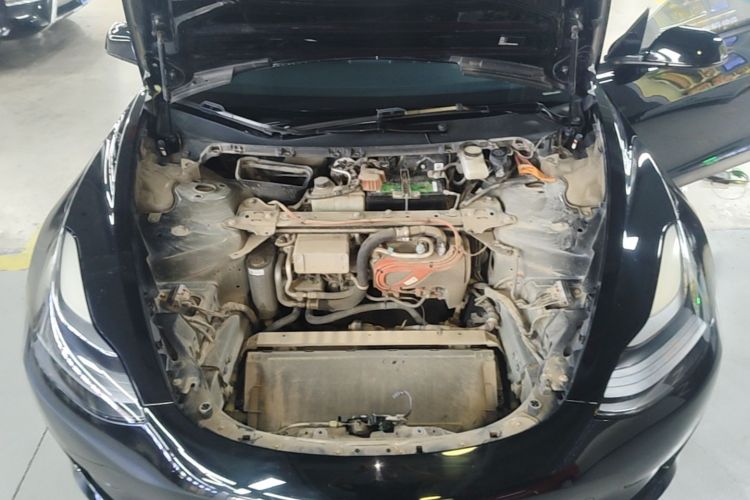 Tesla Model 3 2021 #20 Tesla Model 3 2021 immagine di auto #20