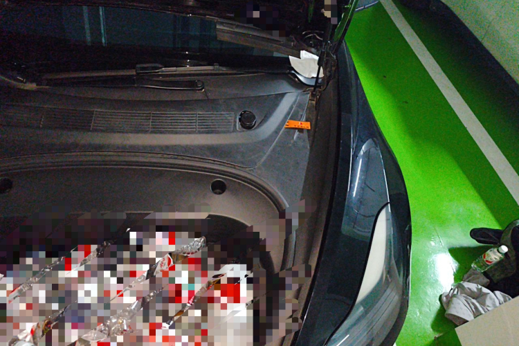 Tesla Model 3 2021 car image #29