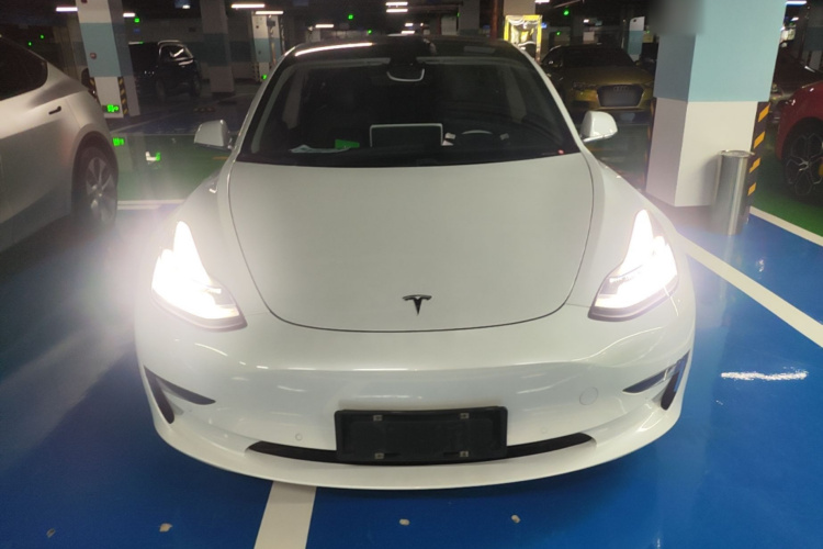 Tesla Model 3 2020 #3 Tesla Model 3 2020 car image #3