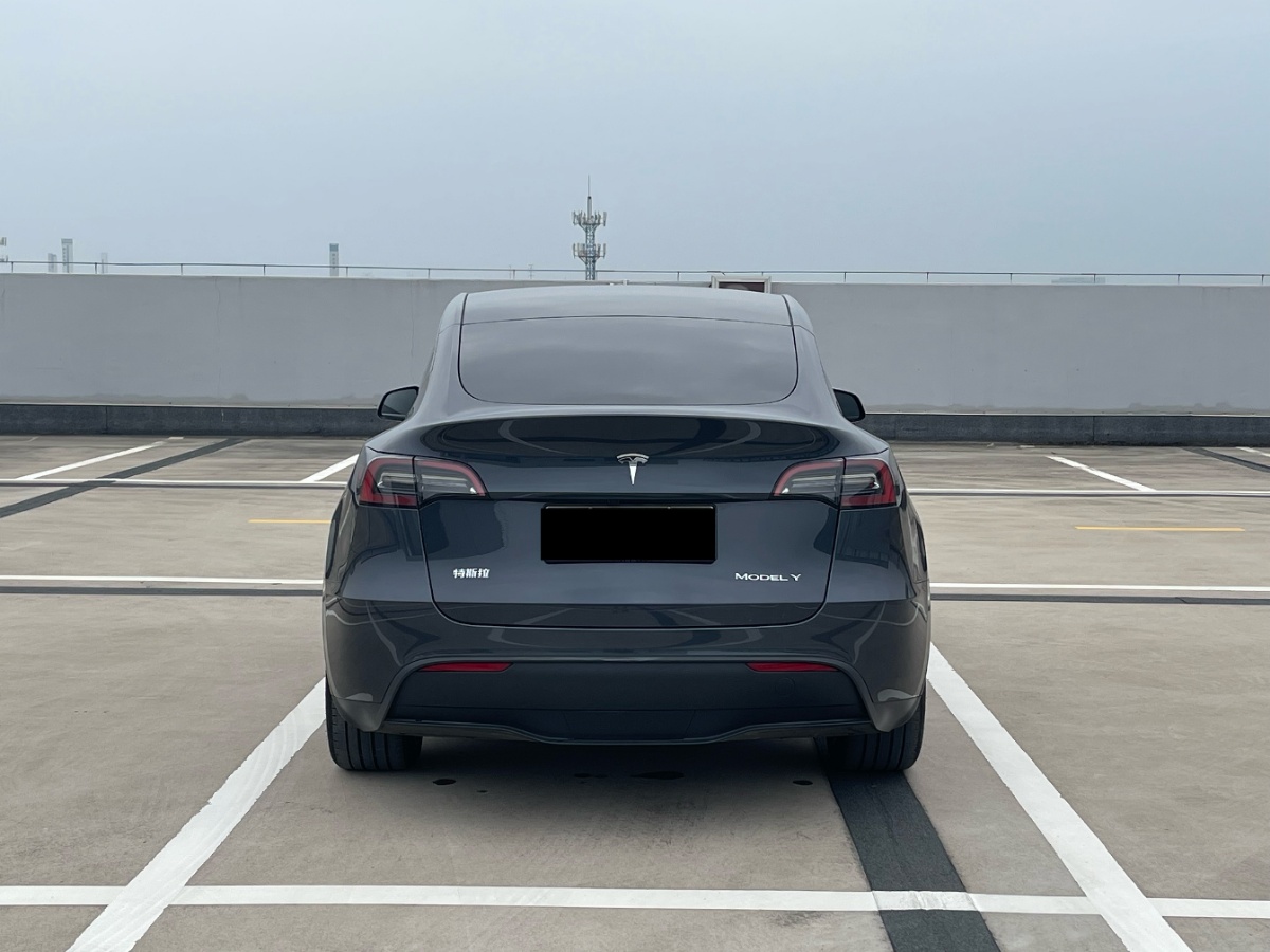 Tesla Model Y 2024 #3 Tesla Model Y 2024 car image #3