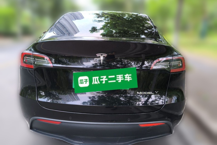 Tesla Model Y 2021 car image #6