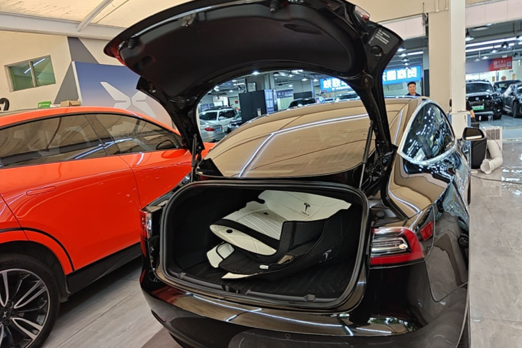 Tesla Model 3 2020 #19 Tesla Model 3 2020 car image #19