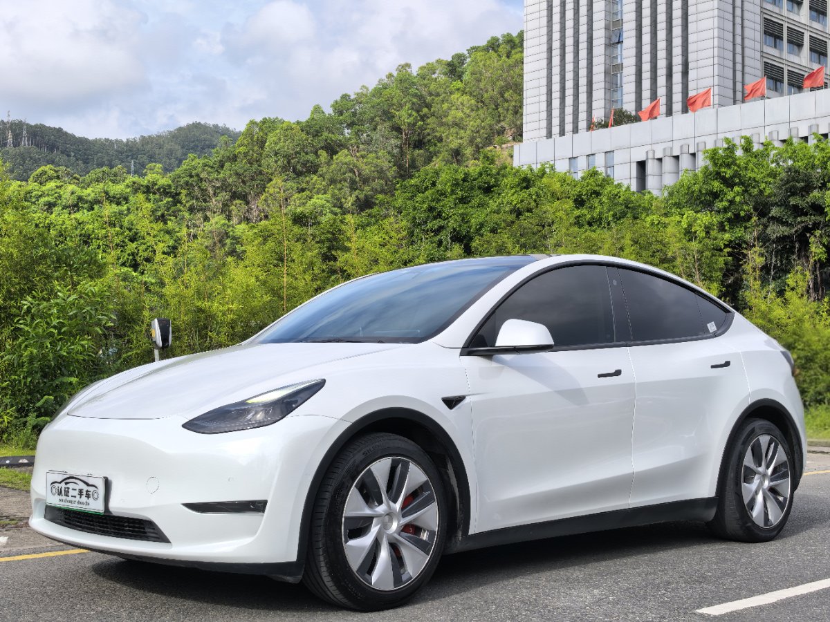 Tesla Model Y 2021 car image 