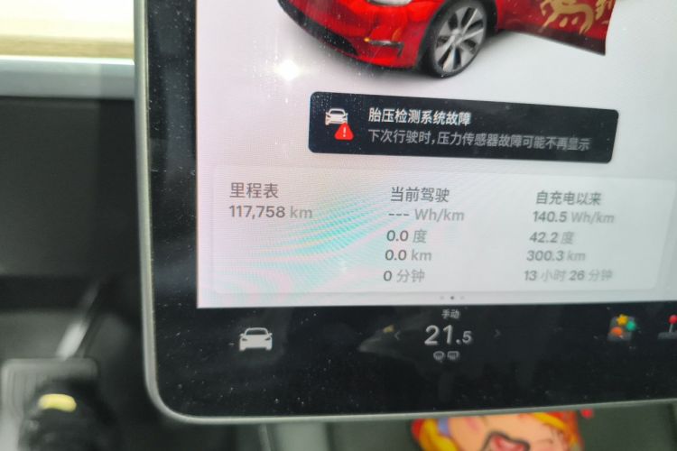 Tesla Model Y 2021 #8 Tesla Model Y 2021 car image #8