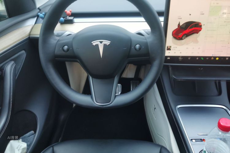Tesla Model Y 2023 car image #12