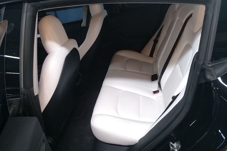 Tesla Model 3 2021 car image #17