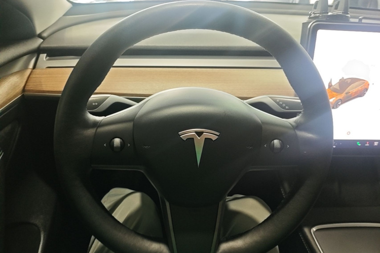 Tesla Model 3 2021 car image #15