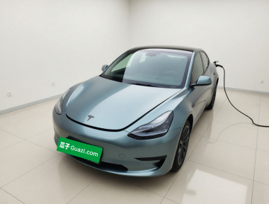 Tesla Model 3 2022 car image 
