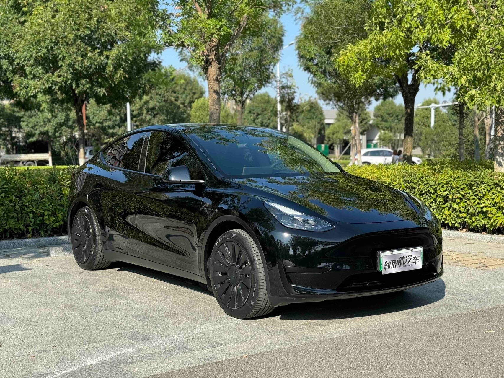 Tesla Model Y 2023 #3 Tesla Model Y 2023 car image #3