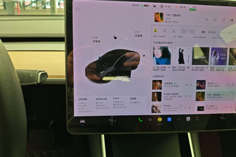 Tesla Model 3 2020 car image #14