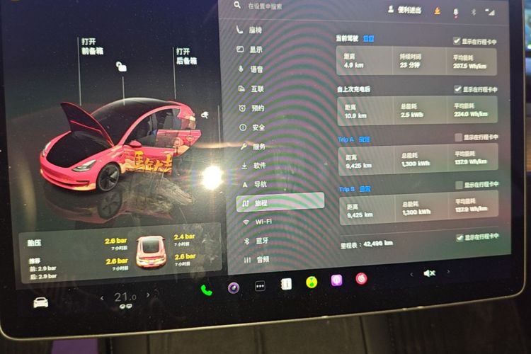 Tesla Model 3 2023 car image #16
