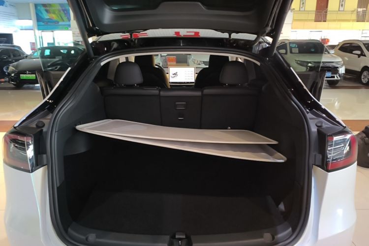 Tesla Model Y 2023 #19 Tesla Model Y 2023 car image #19