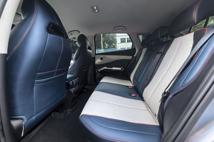 BYD Yuan Plus 2022 car image #10
