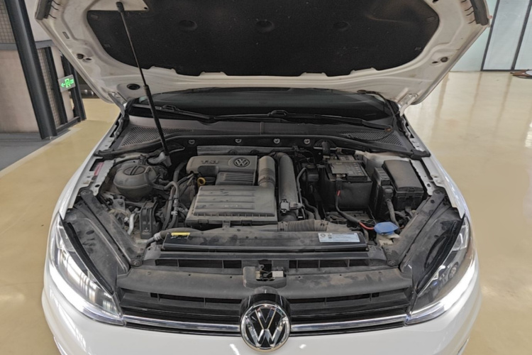 Volkswagen Golf 2019 car image #20