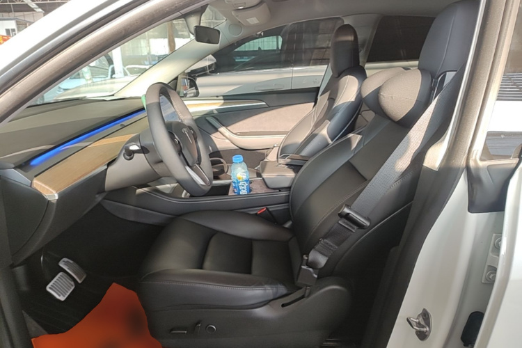 Tesla Model Y 2021 car image #15