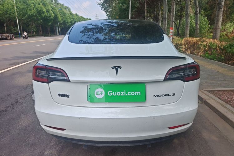 Tesla Model 3 2020 car image #6
