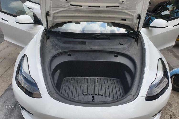 Tesla Model 3 2021 #22 Tesla Model 3 2021 car image #22