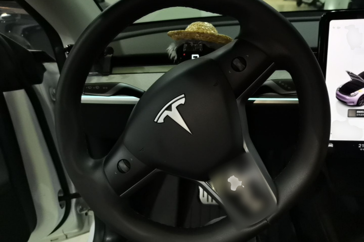 Tesla Model Y 2024 #11 Tesla Model Y 2024 immagine di auto #11