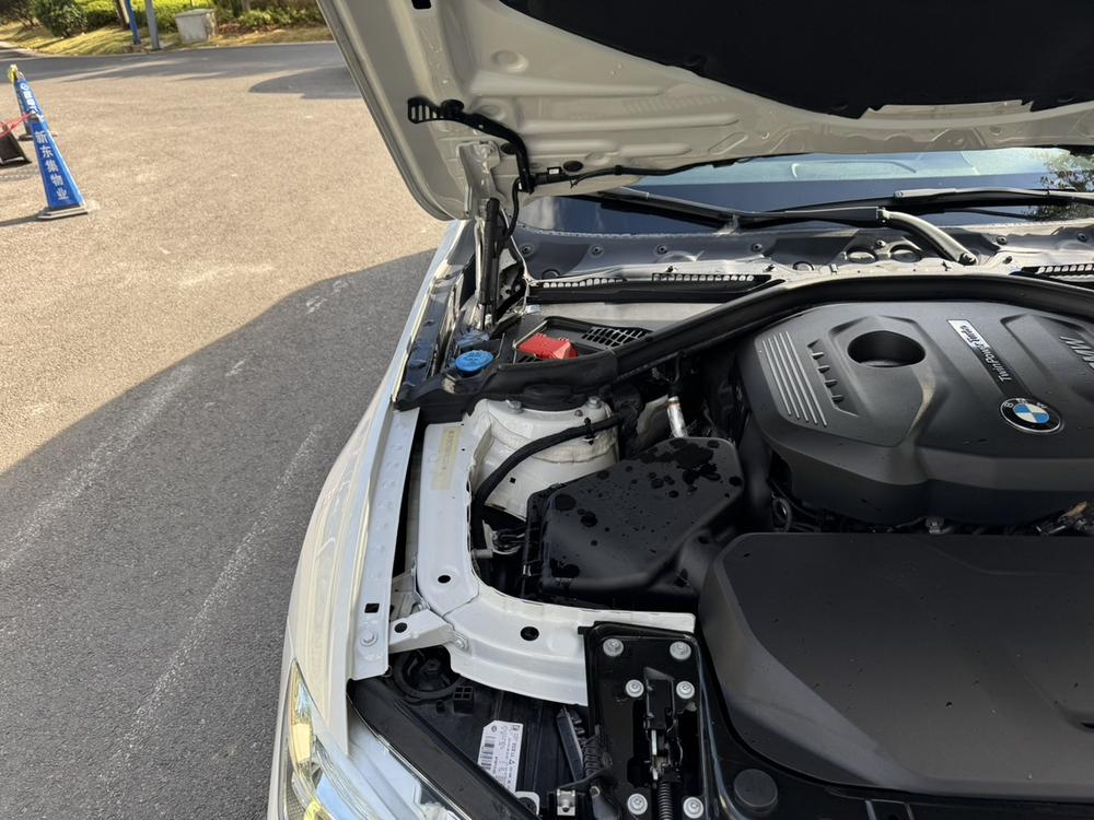 BMW 3 Series 2019 immagine di auto #12