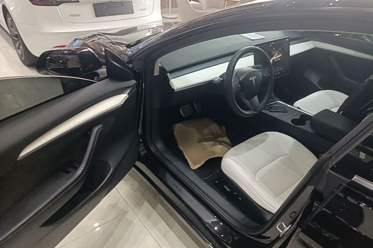 Tesla Model 3 2022 car image #16