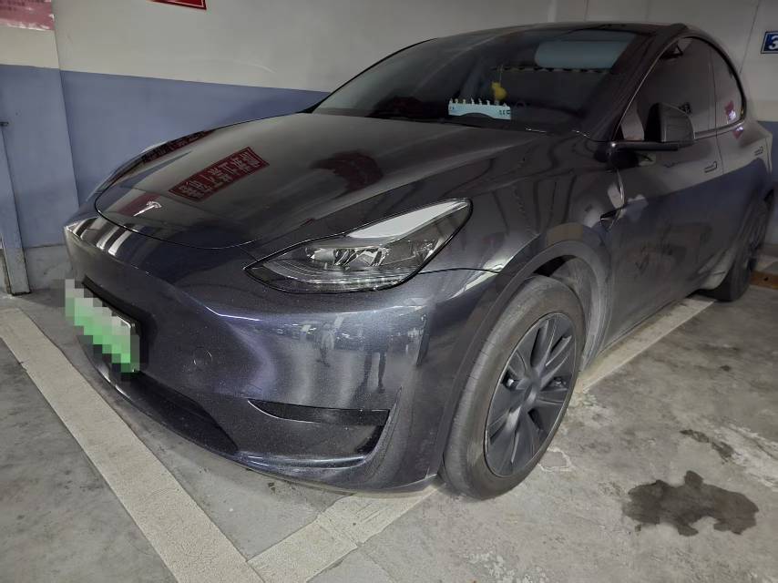 Tesla Model Y 2024 Tesla Model Y 2024 car image
