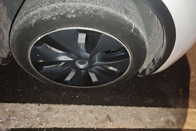 Tesla Model Y 2023 immagine di auto #9