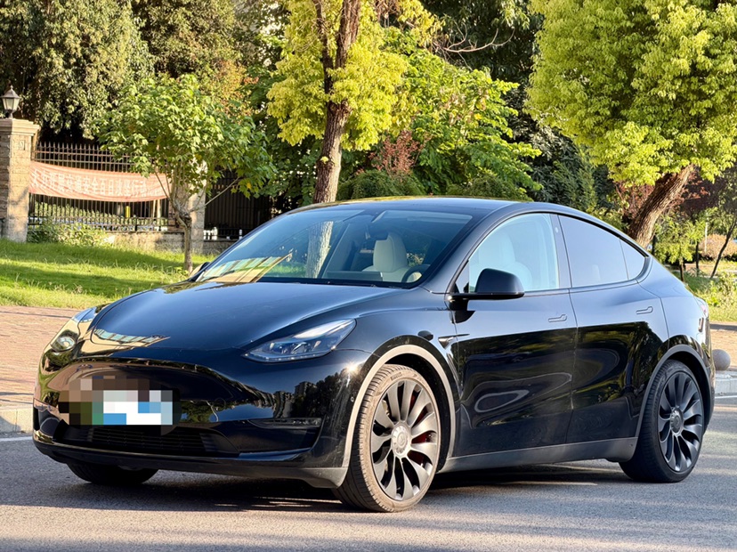 Tesla Model Y 2023 Tesla Model Y 2023 immagine di auto