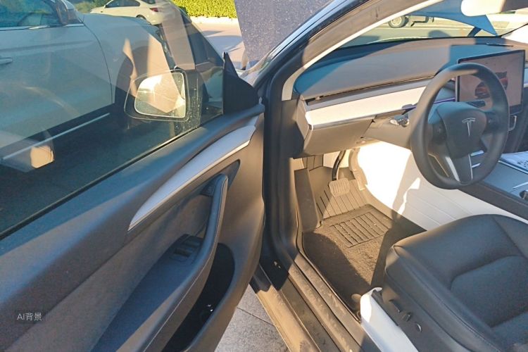 Tesla Model Y 2025 car image #18