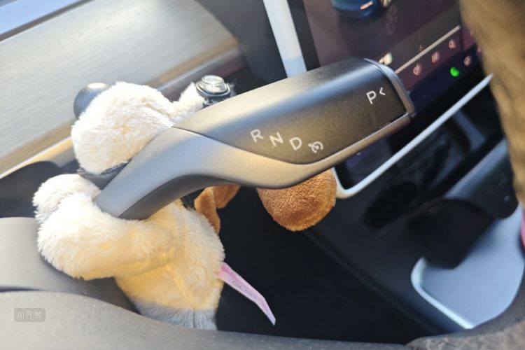 Tesla Model Y 2022 car image #16