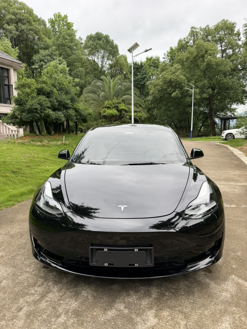Tesla Model 3 2021 car image #2