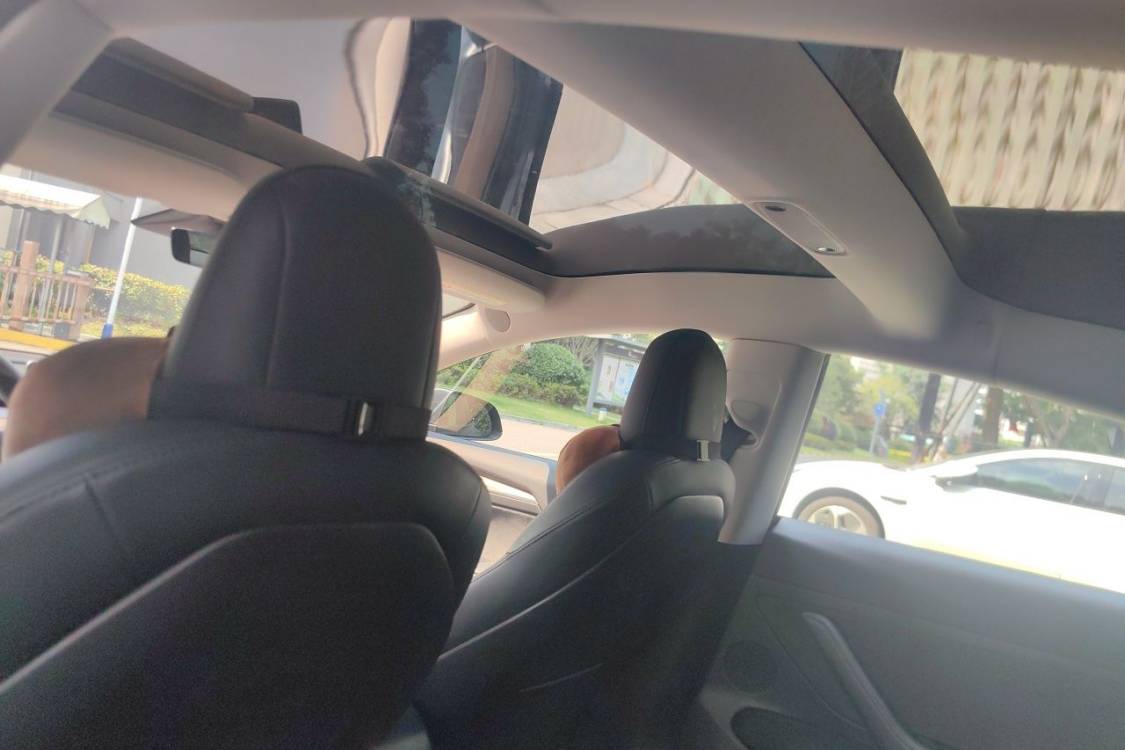 Tesla Model 3 2021 imagem de carro #20