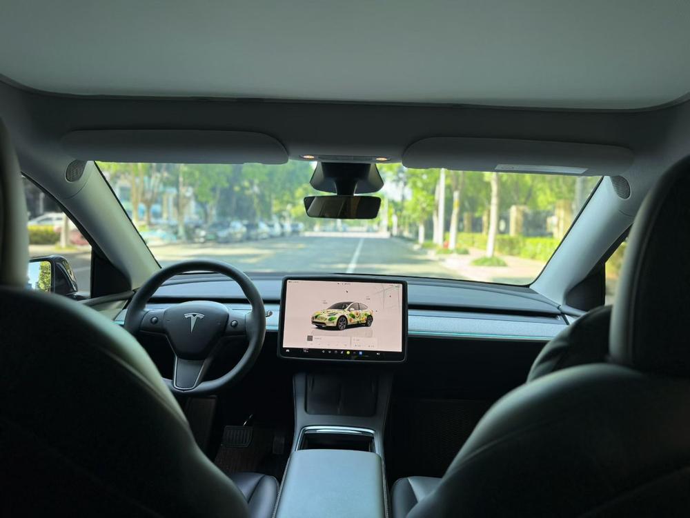 Tesla Model Y 2025 car image #6