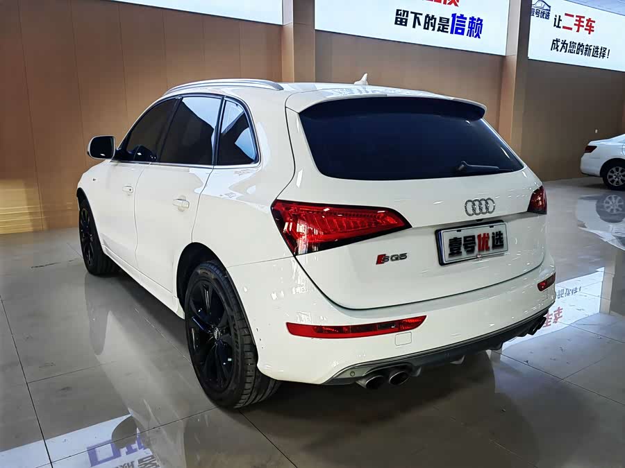 Audi SQ5 2013 imagen de coche #7