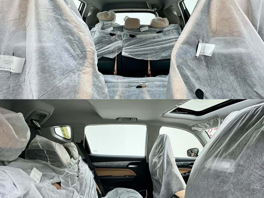 GEELY OkavangoPRO 2023 immagine di auto #7