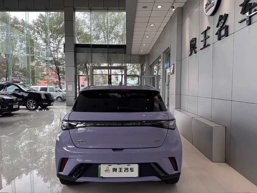 BYD Dolphin 2024 صورة سيارة #7