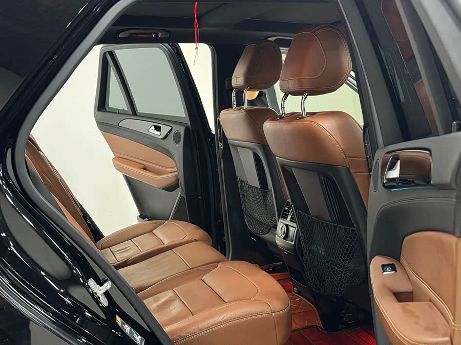 Mercedes-Benz GLE Class New Energy 2016 car image #7