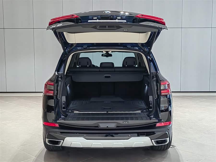 BMW X5 New Energy (Imported) 2023 car image #7