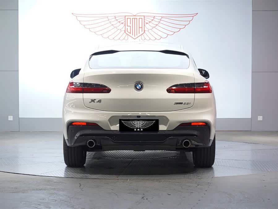 BMW X4 2020 #7 BMW X4 2020 car image #7