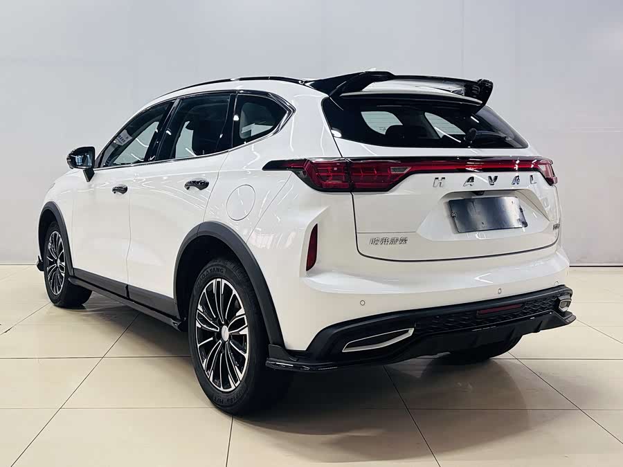 Haval Rabbit 2024 car image #7