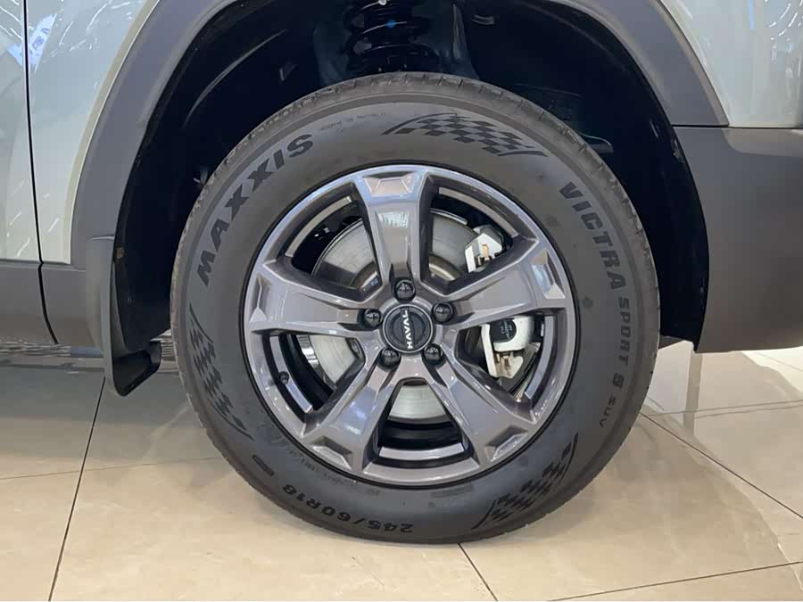 Haval Raptor New Energy 2023 car image #7