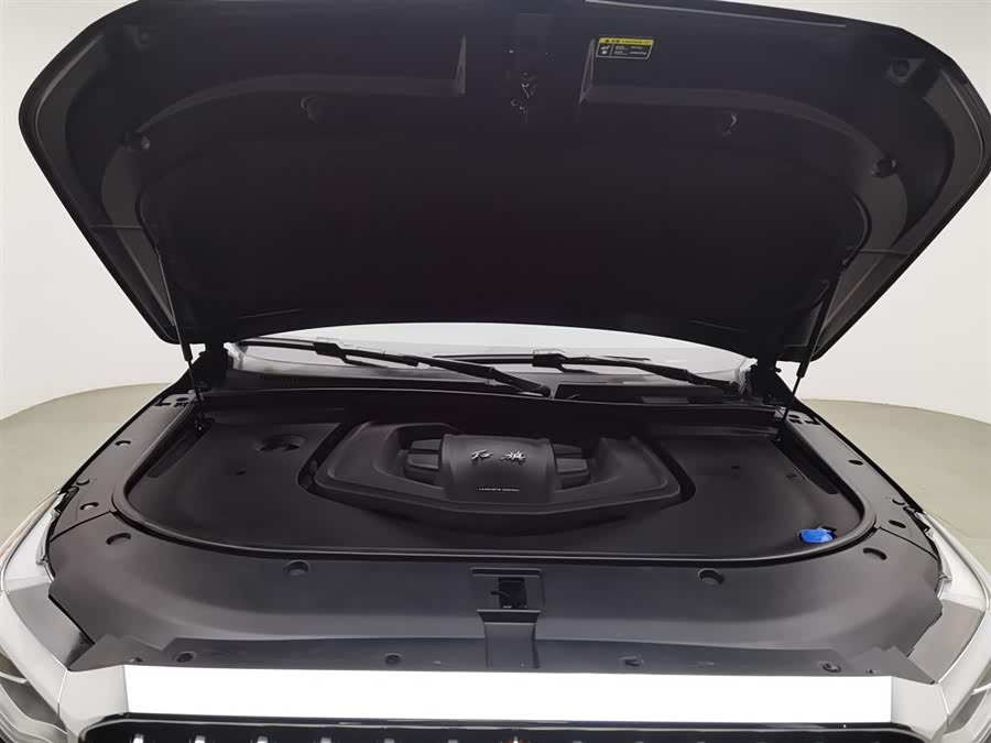 HongQi HS7 2021 car image #7