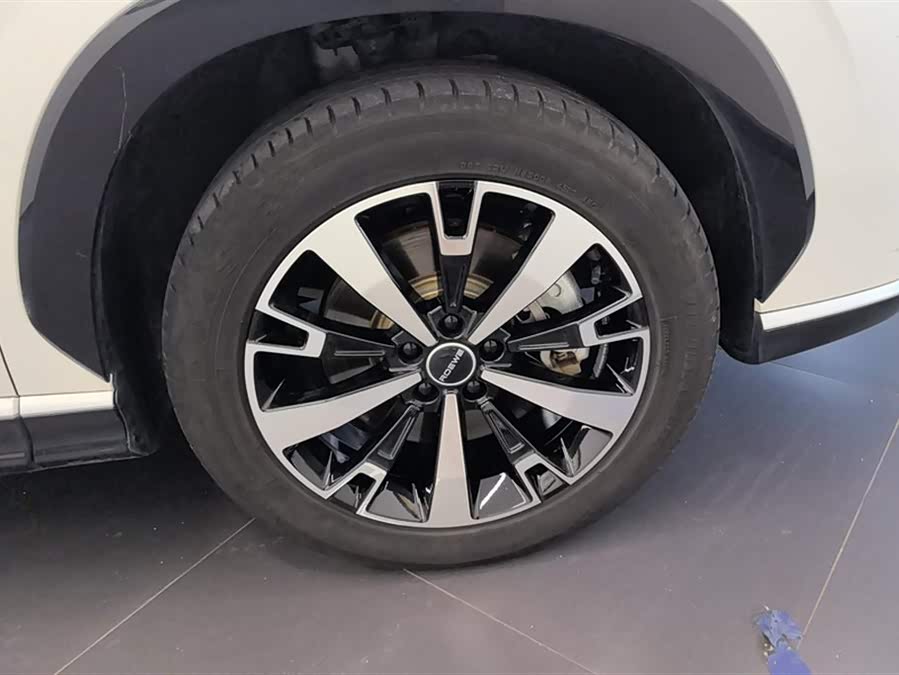 Roewe D5X DMH 2024 imagen de coche #7