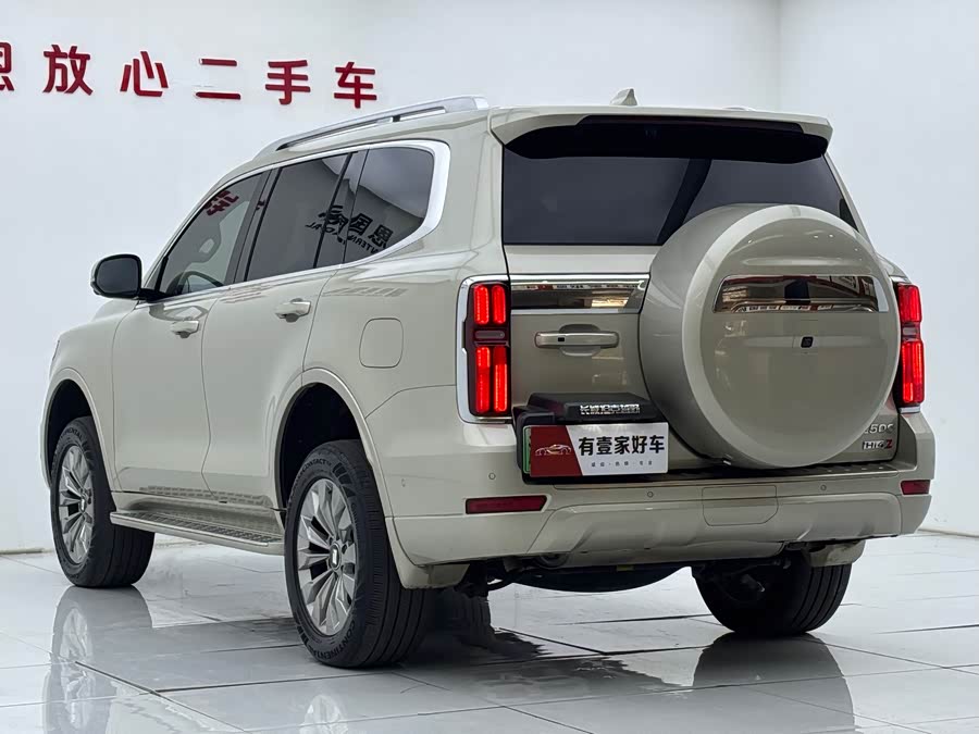 Tank 500 New Energy 2024 immagine di auto #7