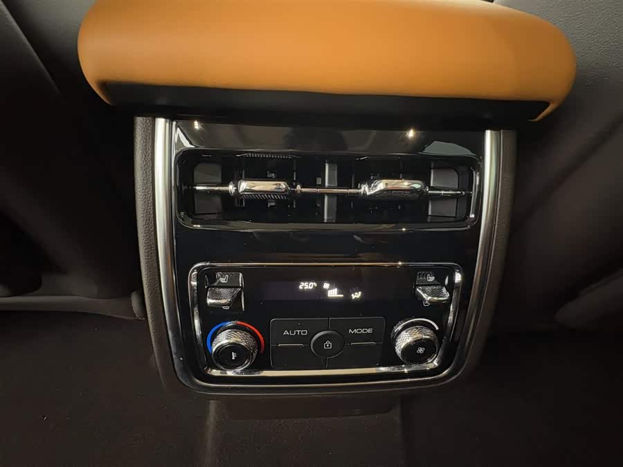 Tank 500 New Energy 2024 immagine di auto #7