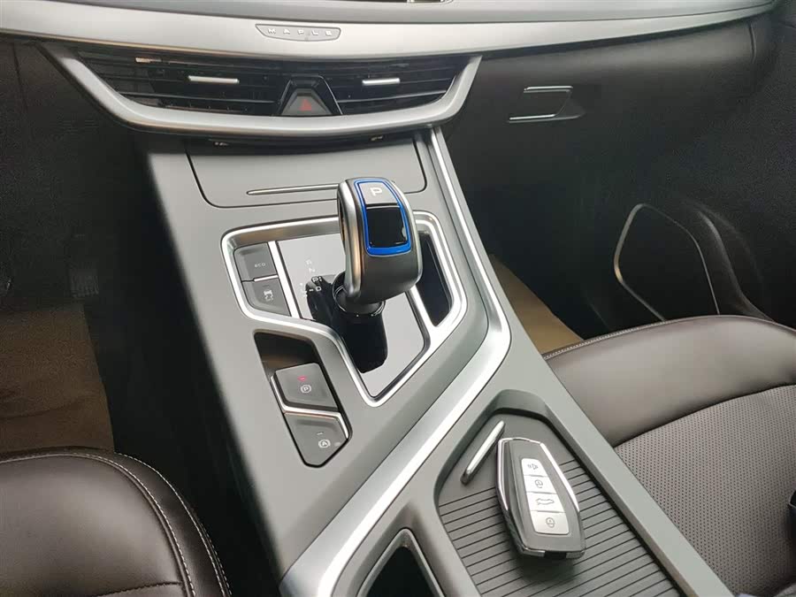 Livan Maple 80V L 2024 car image #7